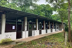 Auf den Farmen fristen die Hunde ein Dasein in Betonk&auml;figen. - &copy; Chris Humphrey/dpa