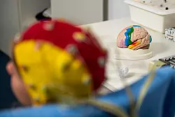 Gedankenlesen mit einem EEG ist laut Experten bislang nur begrenzt m&ouml;glich. - &copy; Jacob Schr&ouml;ter/dpa