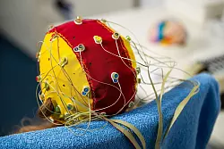 Gedankenlesen mit einem EEG ist laut Experten bislang nur begrenzt m&ouml;glich. - &copy; Jacob Schr&ouml;ter/dpa