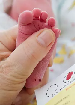 Ein Bluttropfen vom Fuß eines Babys genügt, um viele Krankheit zu erkennen. (Archivbild) - © picture alliance / Stefan Sauer/dpa-Zentralbild/dpa