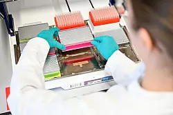 Am Universitätsklinikum Heidelberg wird für Babys das Neugeborenen-Screening angeboten - und zum Genomischen Neugeborenen-Screening geforscht. - © Uwe Anspach/dpa