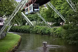 Eine Skulptur in der Wupper erinnert an den Sturz der Elefantendame Tuffi. (Archivbild) - © Federico Gambarini/dpa