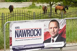 Der Rechtskonservative Karol Nawrocki hat besonders auf dem Land viele Anhänger. (Foto aktuell) - © Czarek Sokolowski/AP/dpa