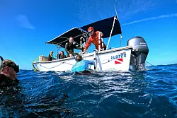 Nach der Begegnung mit den Walen geht es zur&uuml;ck an Bord, wo man die Begeisterung teilt. - &copy; Manuel Meyer/dpa-tmn