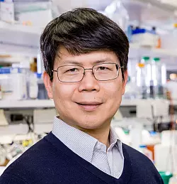 James Zhijian Chen wird 2025 den Paul Ehrlich- und Ludwig Darmstaedter-Preis bekommen. - &copy; Mei-Chun Jau/UT Southwestern Medical Center-/dpa