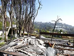 Abgebrannte Häuserruinen schließen sich an das Grundstück der Villa Aurora an. - © Barbara Munker/dpa