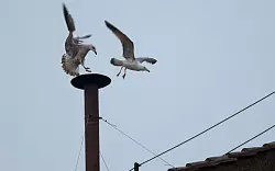 Dieser kleine Schornstein im Vatikan spielt eine bedeutende Rolle für die Zukunft der katholischen Kirche. (Archivbild) - © picture alliance / dpa