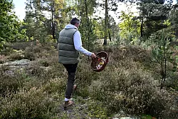 Moritz Schmid unterwegs in seinem Heimatwald. - &copy; Lilli F&ouml;rter/dpa