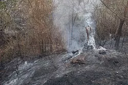 Bei dem Feuer in Tres Cantos kam ein Mann in den Flammen ums Leben. - &copy; Rafael Bastante/EUROPA PRESS/dpa