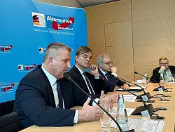Die AfD-Fraktion kann der aktuellen Debatte viel Positives abgewinnen. - © Jörg Ratzsch/dpa