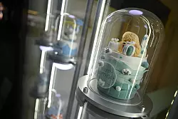 F&uuml;r Haustiere kann man in China auch ma&szlig;geschneiderte Torten zu Geburtstagen oder gar Hochzeiten anfertigen lassen. - &copy; Johannes Neudecker/dpa