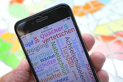 Dialekte sind Expertenangaben nach in Deutschland noch weit verbreitet. - &copy; Karl-Josef Hildenbrand/dpa