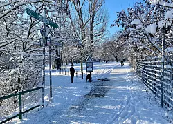 Spaziergänger genossen die weiße Landschaft. - © Anja Mia Neumann/dpa