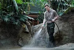 Im Dickhäuterrevier ist der 21-Jährige auch für Elefanten, Nilpferde und Nashörner zuständig. - © Carsten Koall/dpa