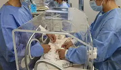 Die neugeborenen Pandas von den Experten auf gr&uuml;ndlich untersucht. Beide Jungtiere sind wohlauf. - &copy; ---/Zoo Berlin/dpa