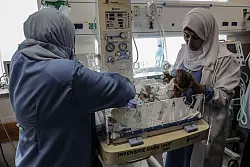 31 fr&uuml;hgeborene Babys sind nach WHO-Angaben auf die Intensivstation der Entbindungsklinik des emiratischen Al-Hilal-Krankenhauses in der s&uuml;dlichen Stadt Rafah gebracht worden. - &copy; Abed Rahim Khatib/dpa