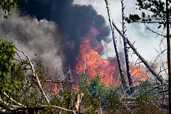 Flammen schlagen in einem Waldst&uuml;ck nahe J&uuml;terbog in die H&ouml;he. - &copy; Fabian Sommer/dpa