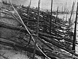 Das Tunguska-Ereignis: Wahrscheinlich ein gro&szlig;er Brocken aus dem All verw&uuml;stete 1908 ein Gebiet in Sibirien. (Archivbild) - &copy; L. Kulik/Russische Akademie der Wissenschaften/dpa