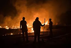 Ein Einsatzleiter sprach von einem wahren Feuer-«Tsunami». - © Elena Fernandez/ZUMA Press Wire/dpa
