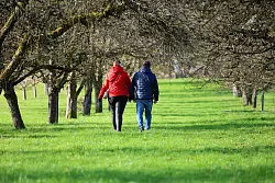 Sonnenschein gibt es in den nächsten Tagen nicht überall zu genießen. - © Thomas Warnack/dpa