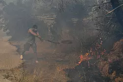 Auch Freiwillige k&auml;mpfen gegen die Flammen - &copy; Michael Varaklas/AP/dpa