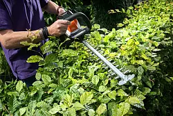 Mit dem Verbot sollen Tiere geschützt werden. (Archivbild) - © selbst ist der Mann/dpa-tmn