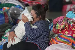 Viele Menschen auf beiden Seiten sind auf der Flucht. - &copy; Sakchai Lalit/AP/dpa