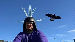 Youtuber Daniel Fitzgerald testet seinen Anti-Magpie-Helm. - &copy; Daniel Fitzgerald