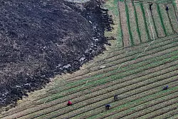 Die Waldbrände gelten als die mit Abstand schlimmsten in der Geschichte Südkoreas. - © Yoon Kwan-shik/Yonhap via AP/dpa