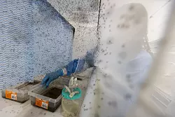 Zahlreiche Gelbfieberm&uuml;cken, die zur Bek&auml;mpfung des Dengue-Fiebers mit Wolbachia-Bakterien modifiziert wurden, fliegen in einem Insektenk&auml;fig in Rio de Janeiro. (Archivbild) - &copy; Fernando Souza/dpa