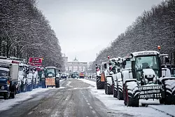 Zahlreiche schneebedeckte Traktoren stehen auf der Stra&szlig;e des 17. Juni vor dem Brandenburger Tor in Berlin. - &copy; Kay Nietfeld/dpa