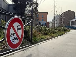 Bei der Abstimmung ging es auch darum, dass die Stra&szlig;en begr&uuml;nt werden sollen. (Archivbild) - &copy; Rachel Bo&szlig;meyer/dpa