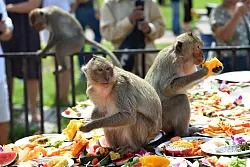 Auf dem Men&uuml; stehen vor allem Obst und Gem&uuml;se. - &copy; Rachen Sageamsak/XinHua/dpa