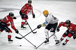 Bremerhaven darf nach dem ersten Sieg in der Viertelfinal-Serie gegen Köln wieder hoffen. - © Federico Gambarini/dpa