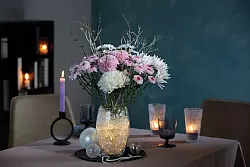 Winterliche Blütenpracht: Chrysanthemen strahlen als Deko-Highlight in der kalten Jahreszeit. - © JustChrys.com/dpa-tmn