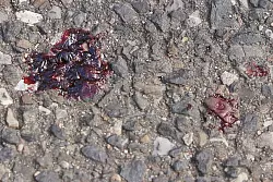 Der bei dem Messerangriff eines Elfjährigen verletzte 13-jährige Junge konnte das Krankenhaus wieder verlassen. - © David Young/dpa