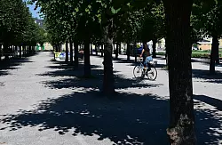 Karlsruhe hat schon länger eine Anpassungsstrategie: Auch Stadtgrün gehört dazu. - © Bernd Weißbrod/dpa