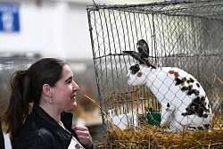 Aug\\\' in Aug\\\' mit einer Dalmatiner-Rexe auf der Bundeskaninchenschau. - &copy; Uwe Zucchi/dpa