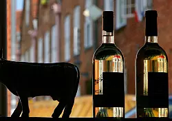 Weinflaschen als Deko im Fenster sehen vielleicht als Zierde gut aus - für den Wein sind Licht, UV-Strahlen und Temperaturschwankungen allerdings Geschmacks-«Gift». - © Arno Burgi/dpa-Zentralbild/dpa-tmn