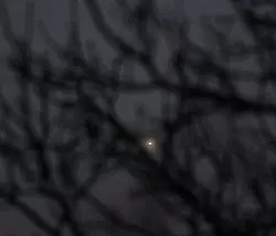 Mit einem 300mm-Zoomobjektiv sieht die Venus derzeit so aus. - © Uwe Pilz/-/dpa