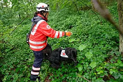 Polizei sucht mit Gro&szlig;aufgebot nach vermisstem M&auml;dchen - &copy; Henning Kaiser/dpa