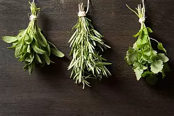 Gewürzfans sollten sich Kräutersträuße zum Trocknen in die Küche hängen. So können Salbei, Rosmarin, und Zitronenmelisse (l-r) bei Bedarf mit gemörsert werden. - © Franziska Gabbert/dpa-tmn