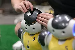 Das letzte Mal wurde die HTWK im Jahr 2018 in Montreal Weltmeister. - &copy; Sebastian Willnow/dpa