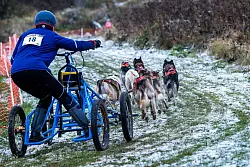 Kerstin Galisch vom Verein HSF Harz auf der Strecke. - &copy; Jens B&uuml;ttner/dpa