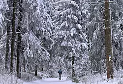 Manche genie&szlig;en den Winterspaziergang, doch f&uuml;r andere ist die anhaltende K&auml;lte eine enorme Belastung. - &copy; Martin Schutt/dpa