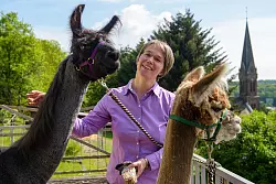 Die Tiere sorgen f&uuml;r besondere Stunden - &copy; picture alliance / dpa