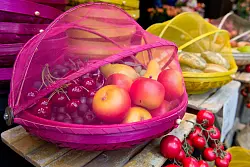 Eine Obstschale mit einem Netz kann Insekten von vornherein fernhalten. - © Franziska Gabbert/dpa-tmn