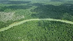 Hier ist der Wald intakt &ndash; doch an vielen Stellen ist er schon verloren. - &copy; Larissa Schwedes/dpa