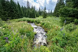 Die Hammerklause in dem Erweiterungsgebiet des Nationalparks Bayerischer Wald. Der Nationalpark Bayerischer Wald ist der gr&ouml;&szlig;te Waldnationalpark in Deutschland. - &copy; Armin Weigel/dpa