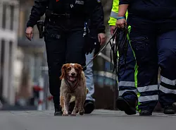 Auch ein Hund war bei der Suche im Einsatz. - &copy; Hannes P. Albert/dpa